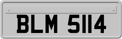 BLM5114