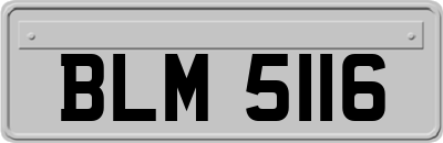 BLM5116