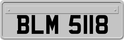BLM5118
