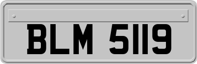 BLM5119