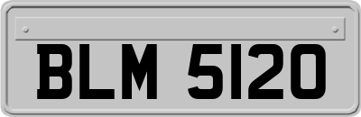 BLM5120