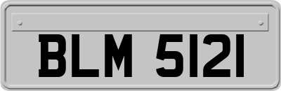 BLM5121