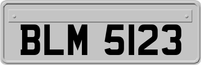 BLM5123
