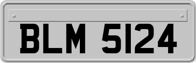 BLM5124