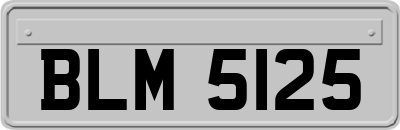 BLM5125