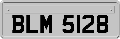 BLM5128