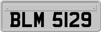 BLM5129