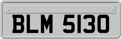 BLM5130