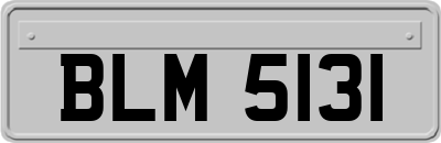 BLM5131