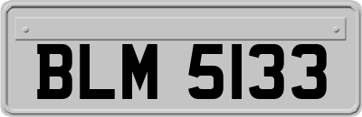 BLM5133
