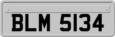 BLM5134