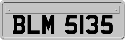 BLM5135
