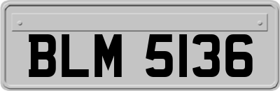 BLM5136