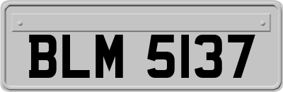 BLM5137