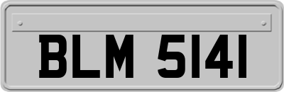 BLM5141