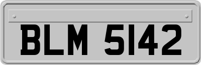 BLM5142
