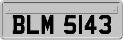 BLM5143