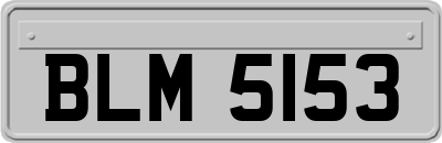 BLM5153