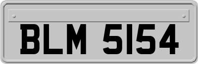 BLM5154