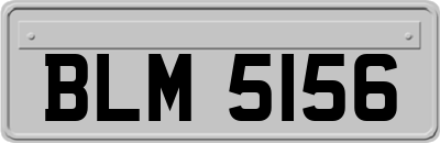 BLM5156