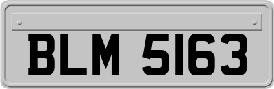 BLM5163