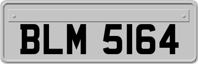 BLM5164