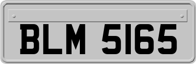 BLM5165