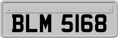 BLM5168