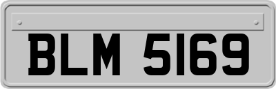 BLM5169