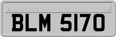 BLM5170