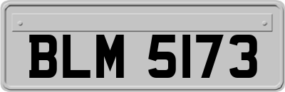BLM5173