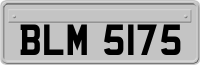 BLM5175