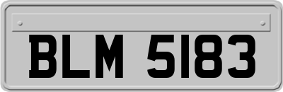 BLM5183