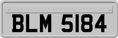 BLM5184