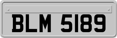 BLM5189