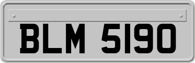 BLM5190