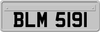BLM5191