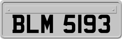 BLM5193