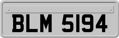 BLM5194