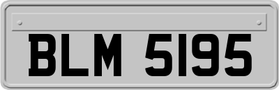BLM5195