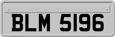 BLM5196