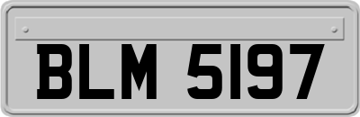 BLM5197
