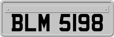 BLM5198