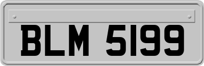BLM5199