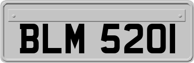 BLM5201