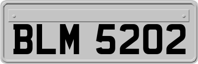 BLM5202