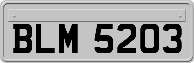 BLM5203