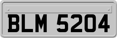 BLM5204
