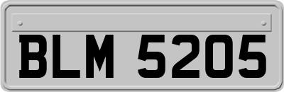 BLM5205