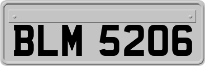 BLM5206